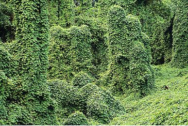 《赛博朋克2077》Switch 2版 官方操作小贴士来了