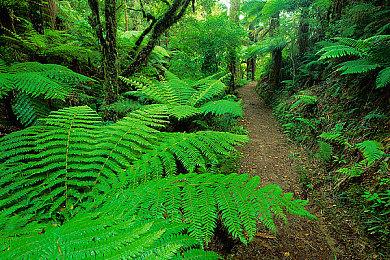 英国F1车神刘易斯汉密尔顿加入《堡垒之夜》